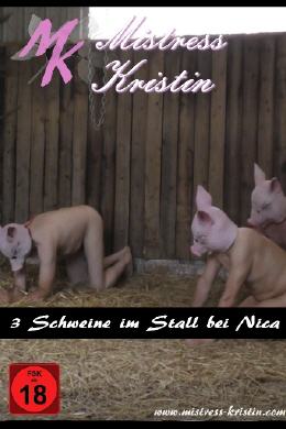 DVD-Film 3 Schweinchen bei Nica